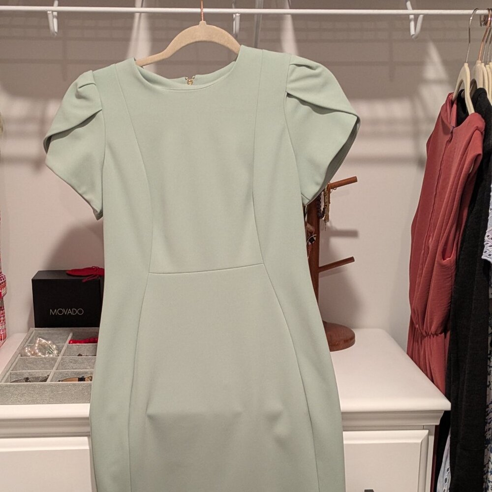 Sage Green CALVIN KLEIN Tulip Sleeve Sheath Dress - Size 4
